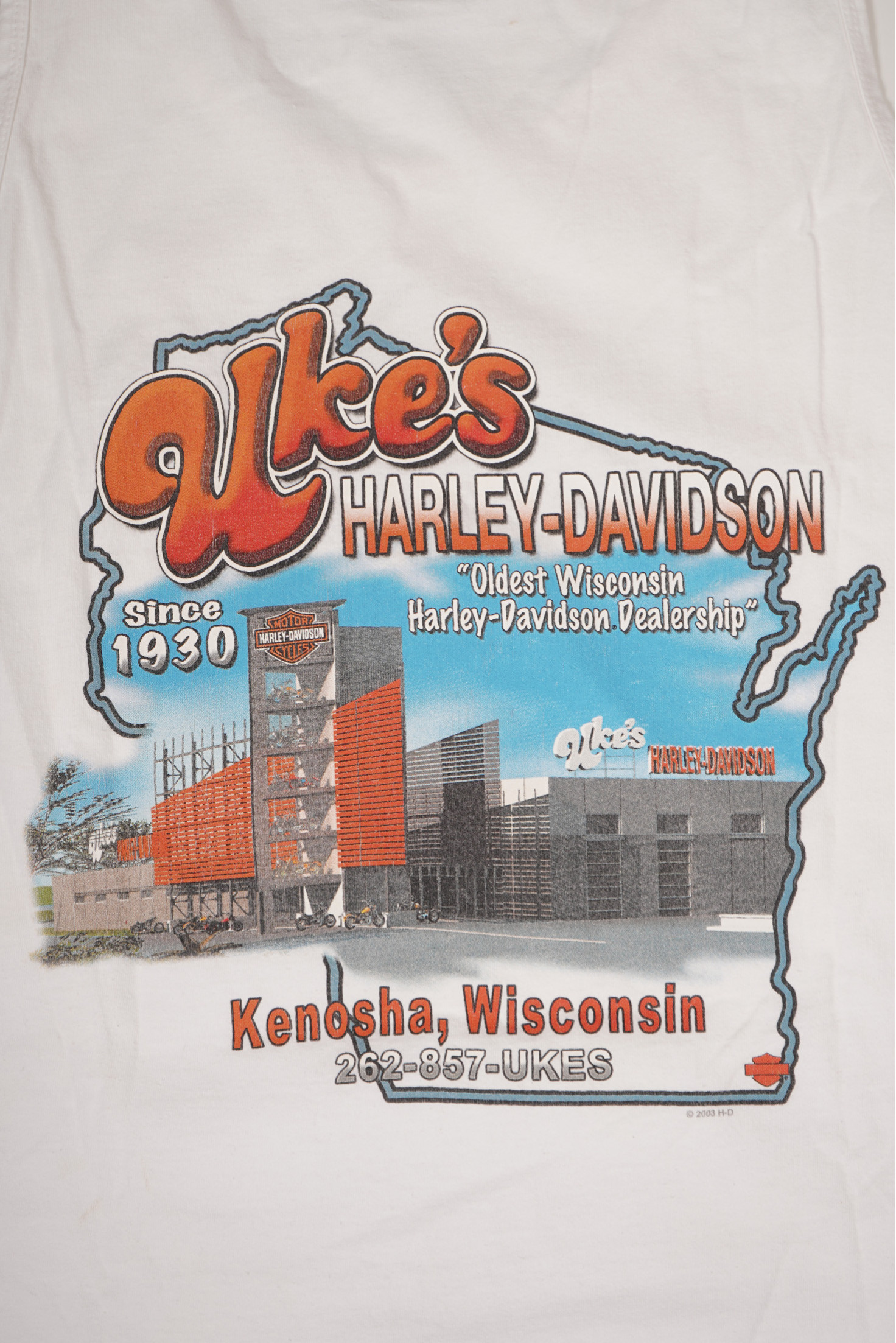 CAMISETA HARLEY DAVIDSON