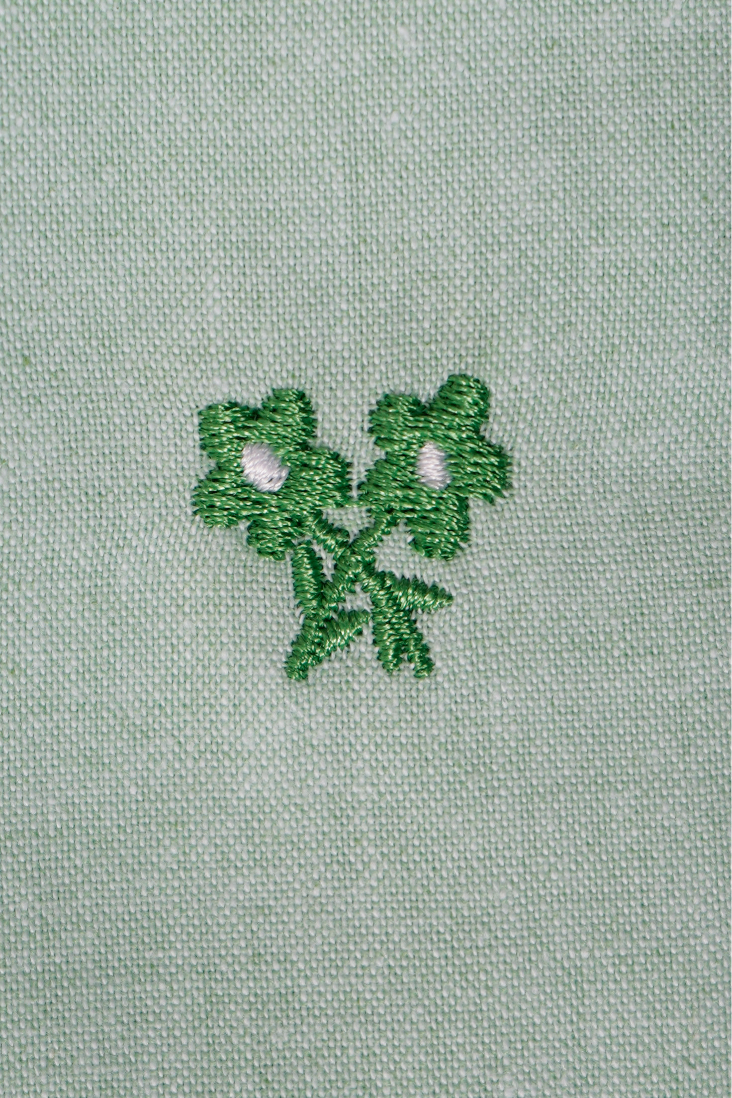 CAMISA CHAMBRAY VERDE