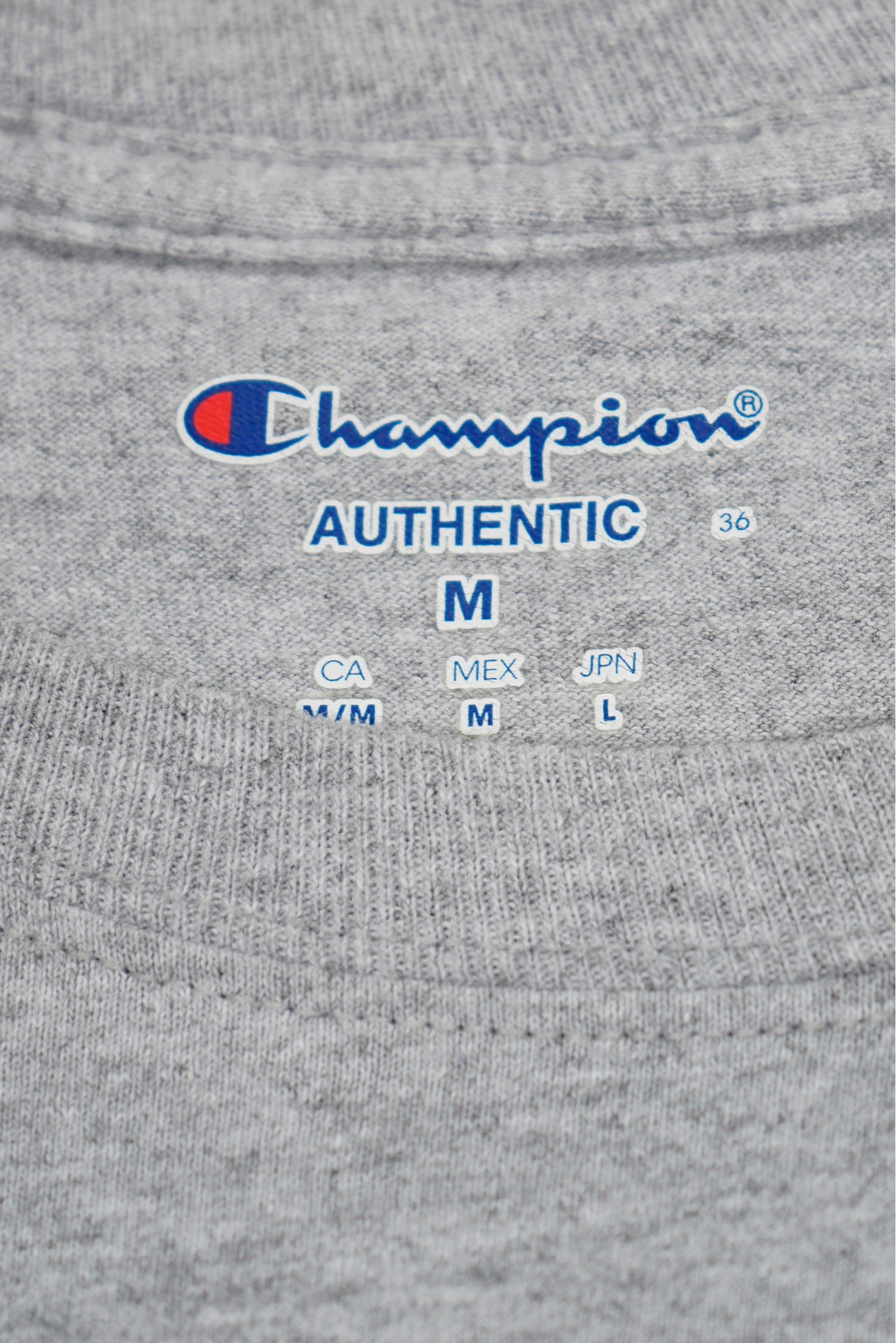 CAMISETA CHAMPION GRIS