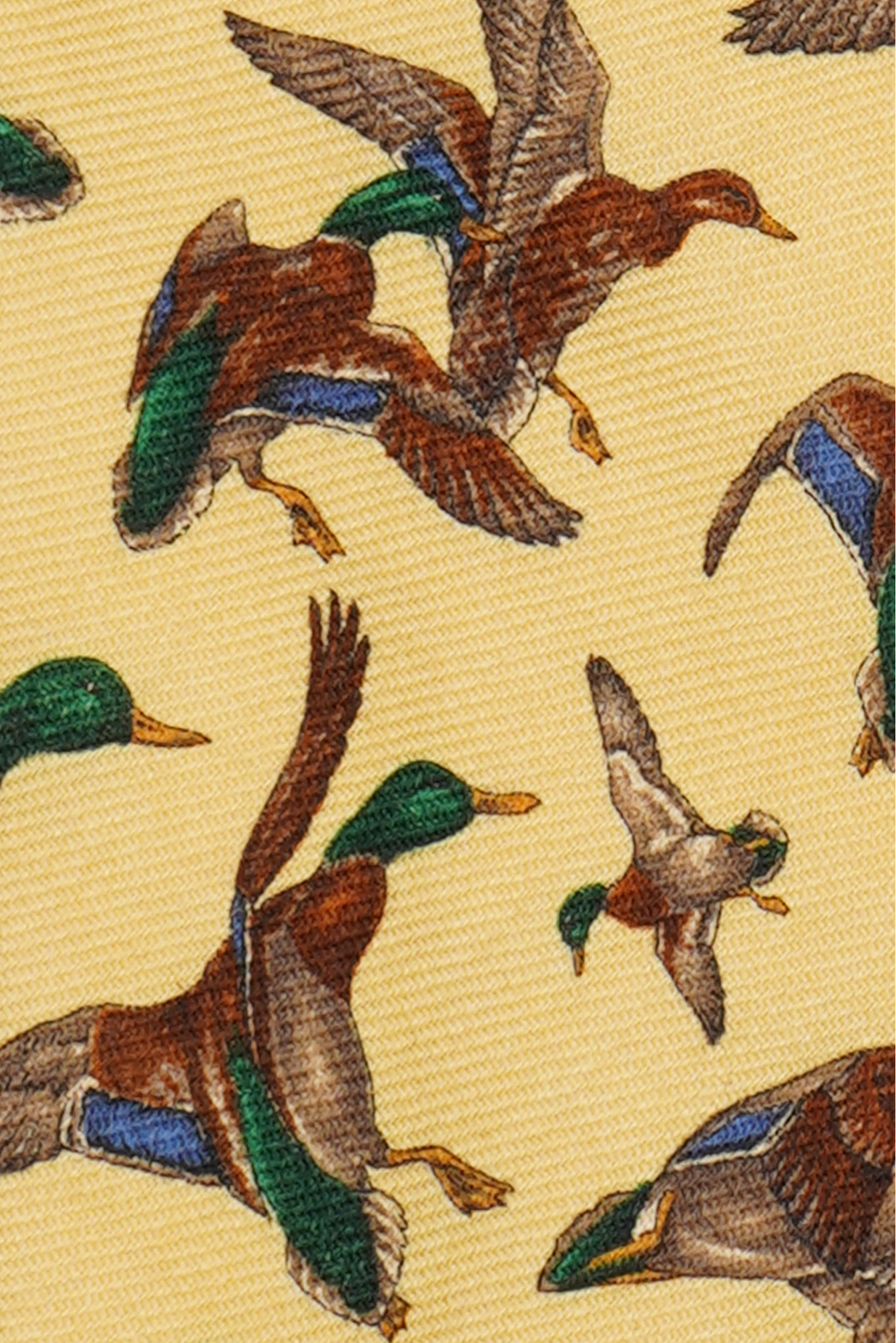 CORBATA RICHEL
